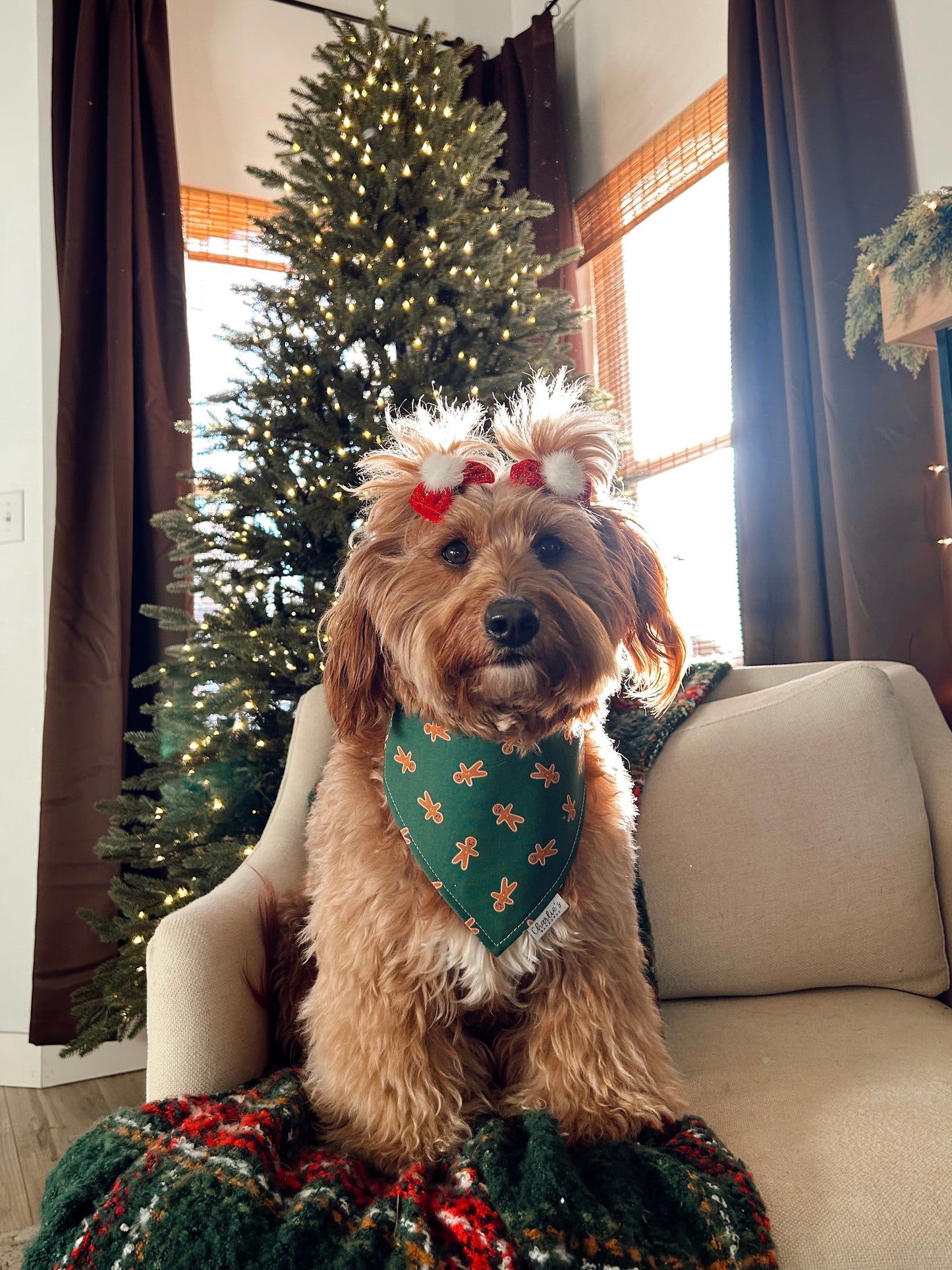 Gingerbread men on Green/ Plaid