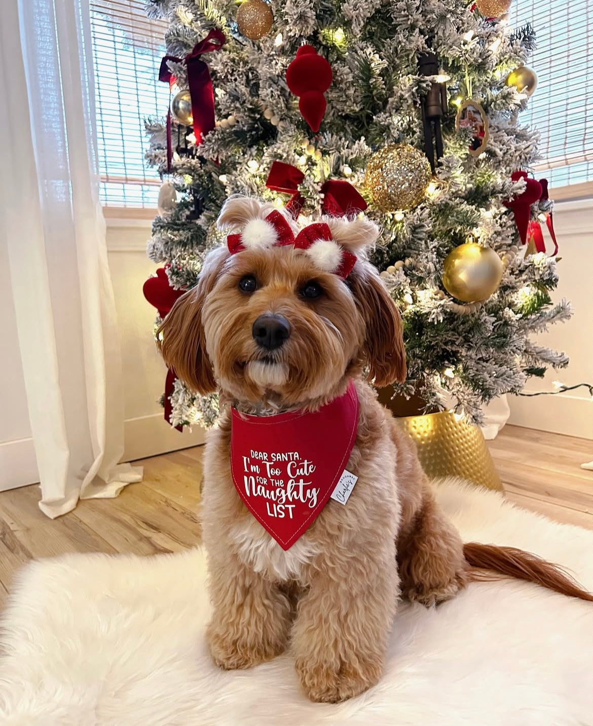 Too Cute for the Naughty List