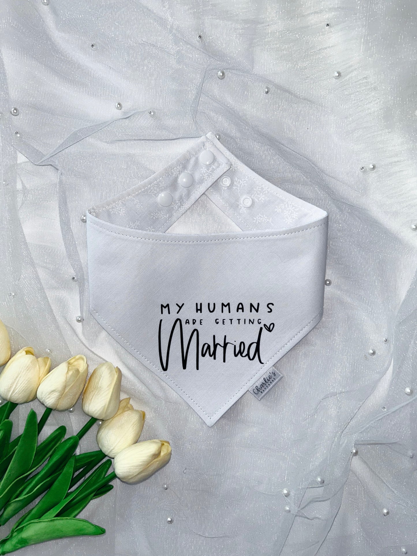 My Humans are Getting Married