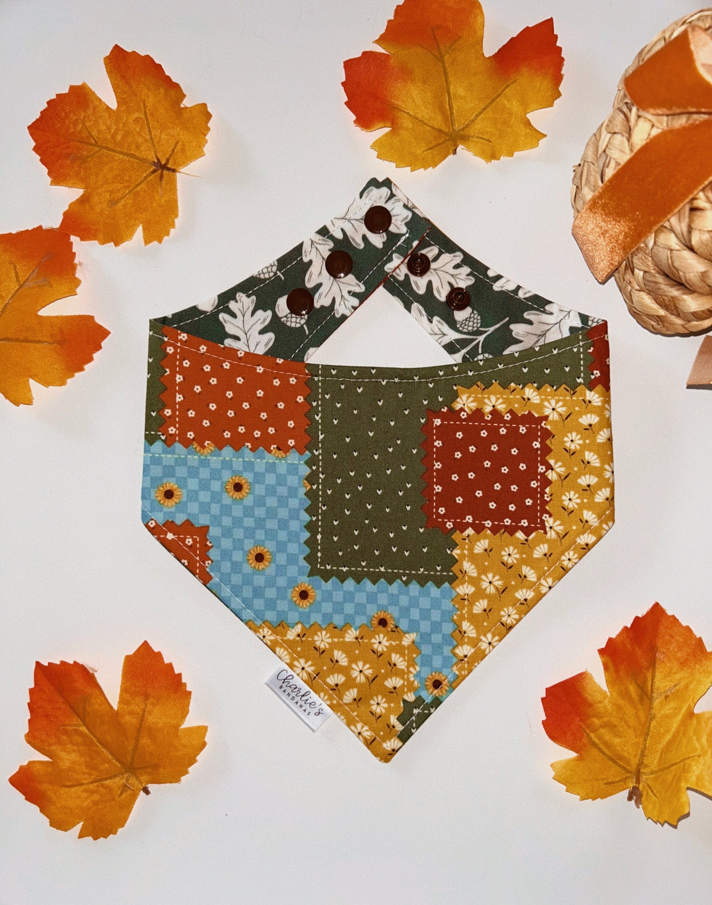 Fall Leaves & Acorns on Green