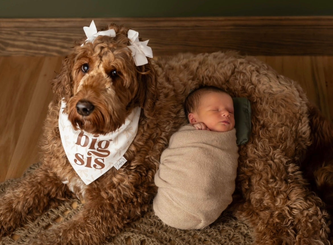Big Bro(Sis) Neutral Bows/ Stripes