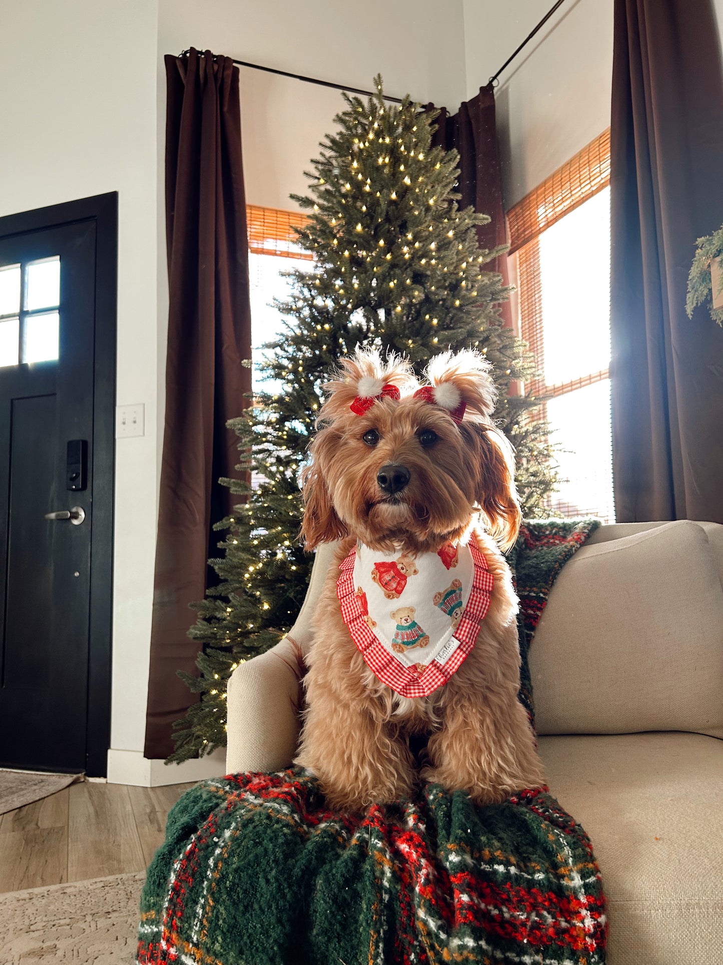 Christmas Bears/ Red Stripes