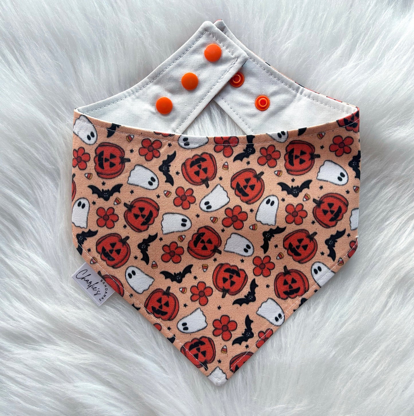 Groovy Halloween