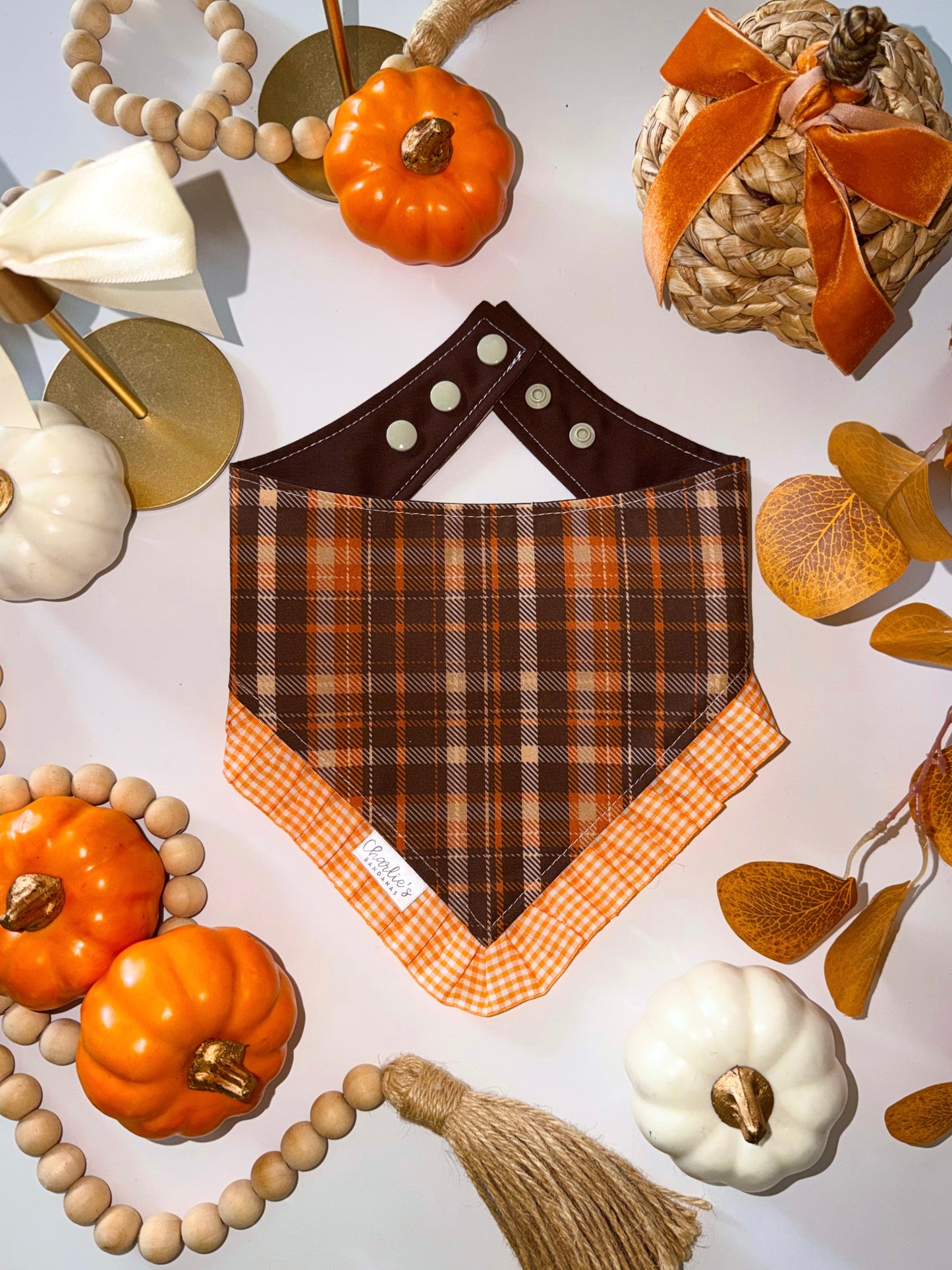 Fall Pumpkin Patch/ Brown Plaid