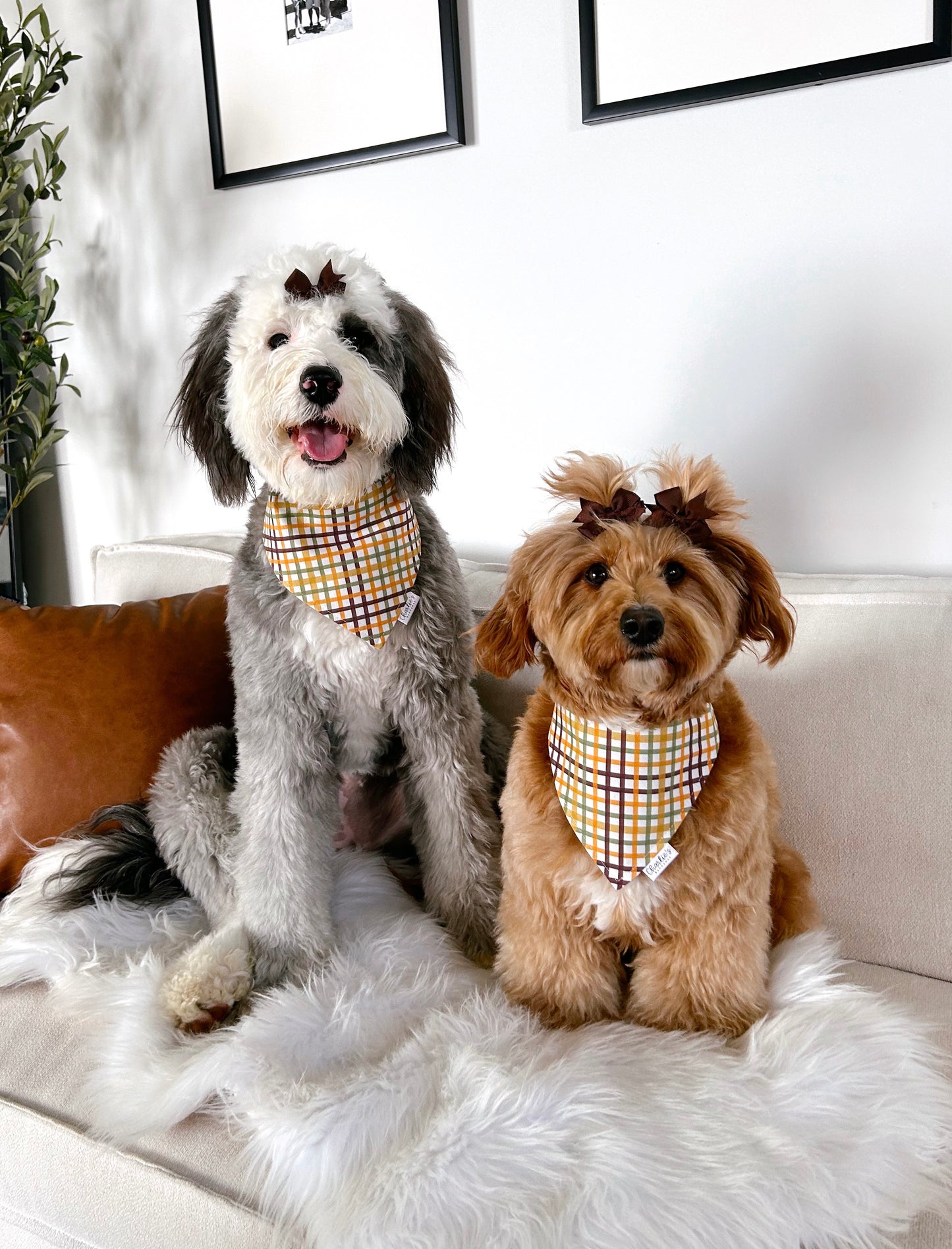 Fall Autumn Cozy Plaid