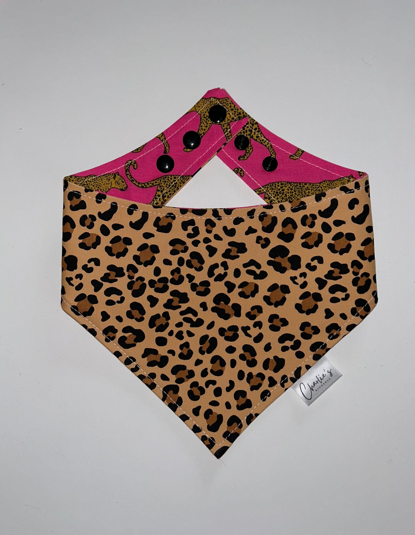 Cheetah Girl