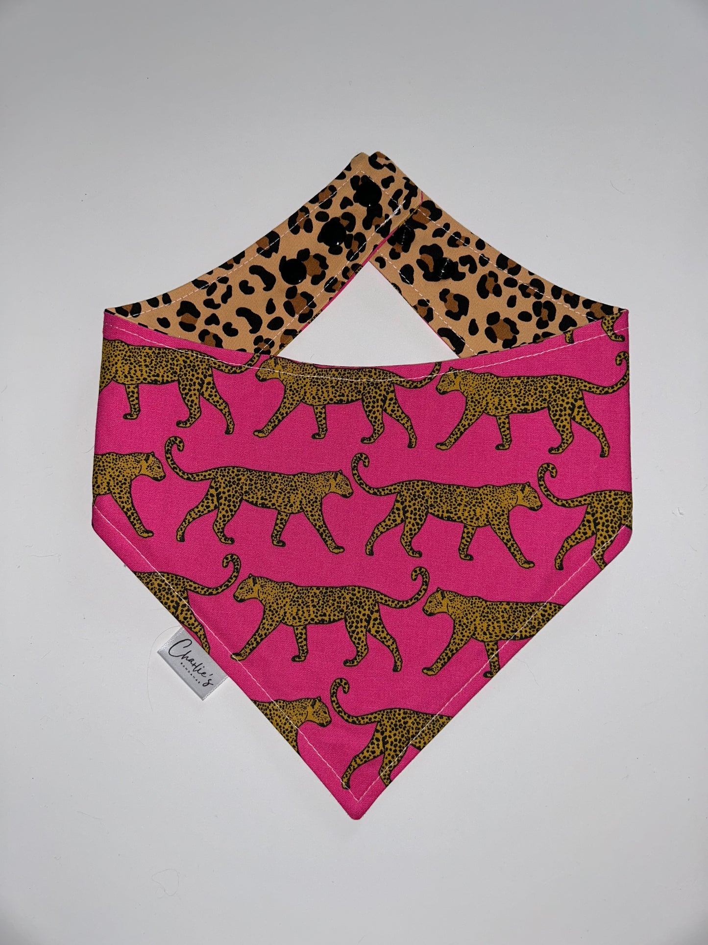 Cheetah Girl