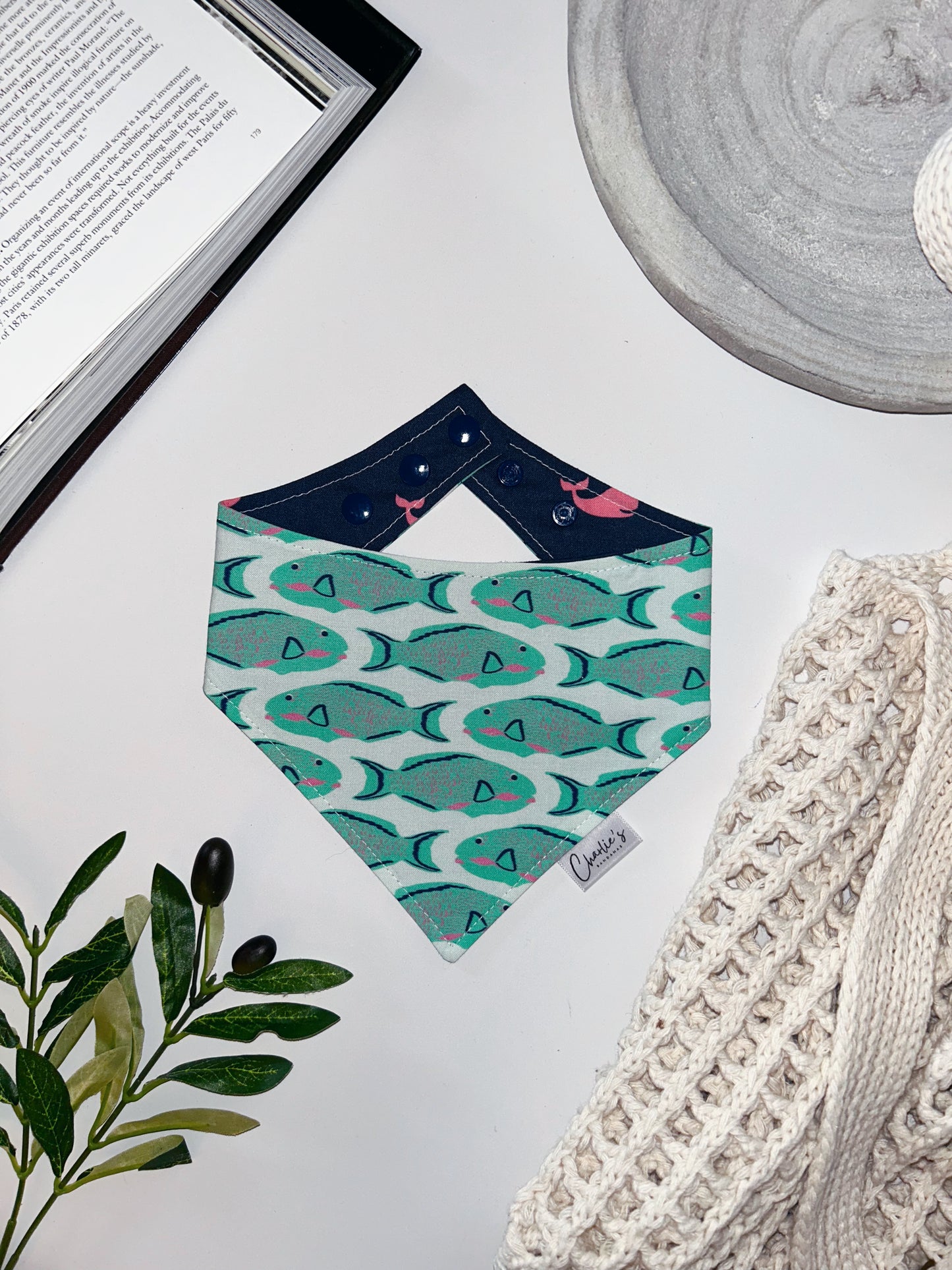 Preppy Fish