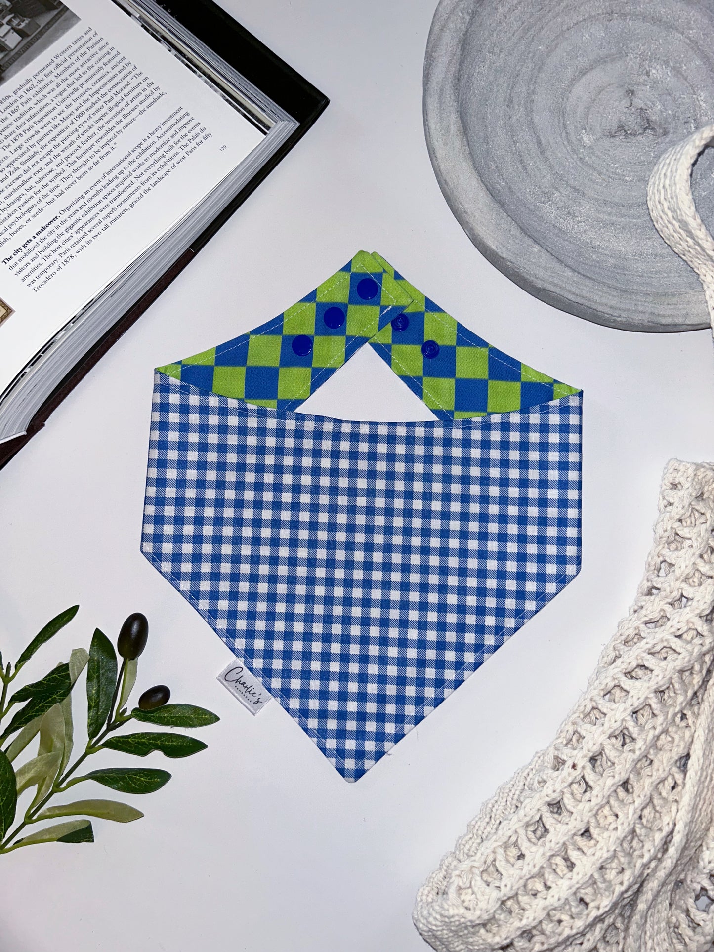 Green Blue Checkerboard/ Blue Gingham