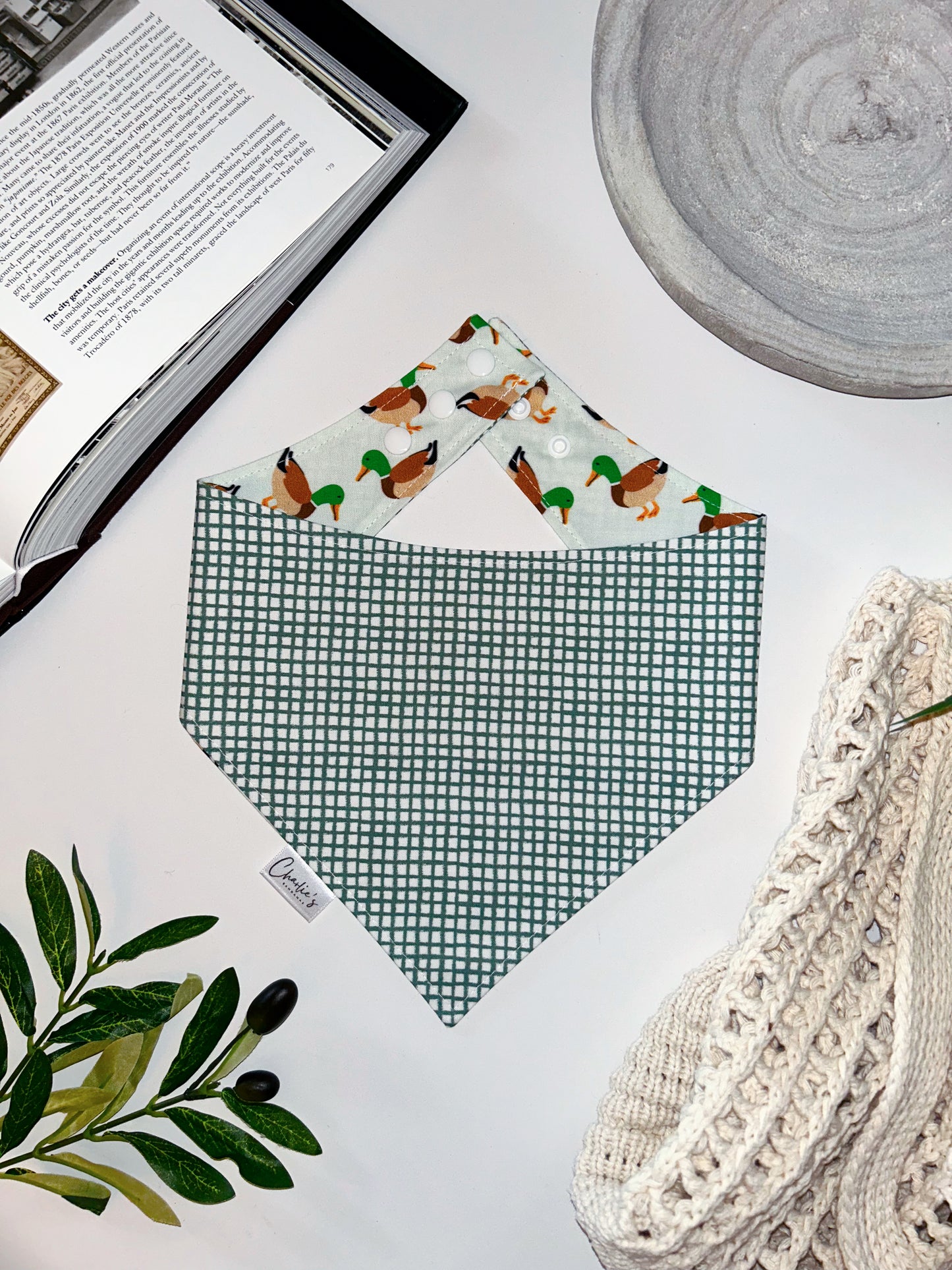 Mallard Ducks Aqua/ Green Plaid