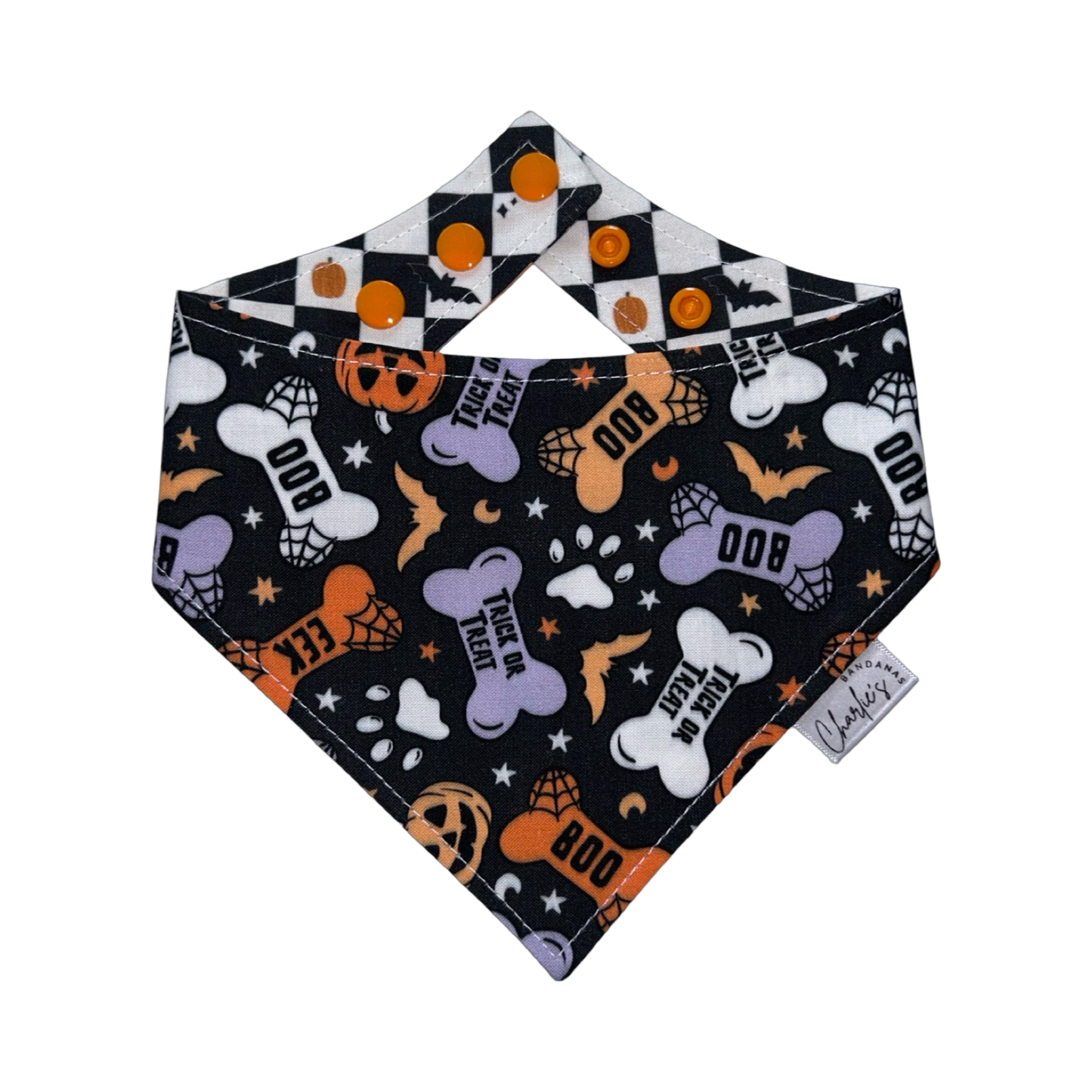 Dog Halloween Bones/ Spooky Checkerboard