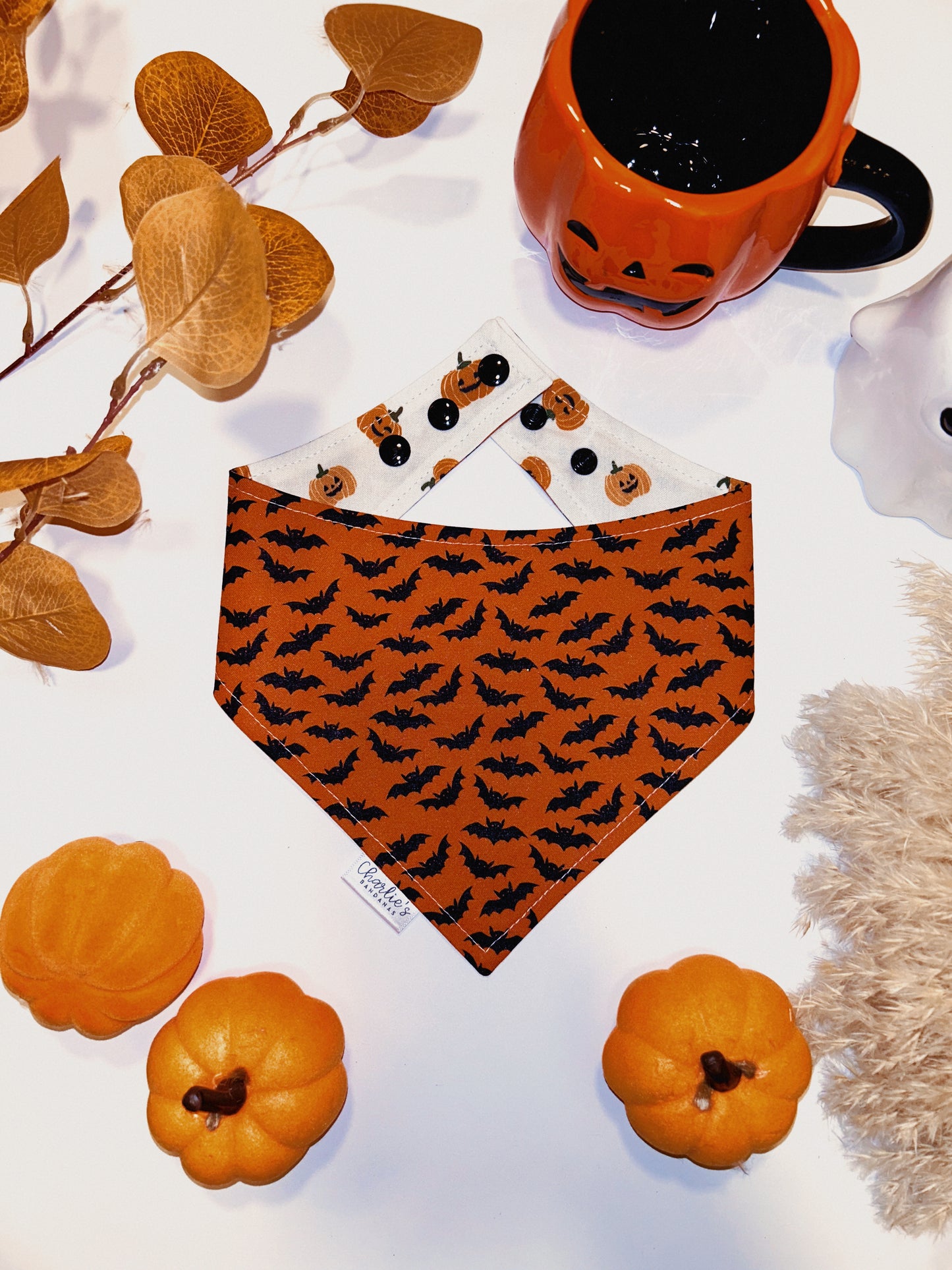 Halloween Jack-O-Lanterns