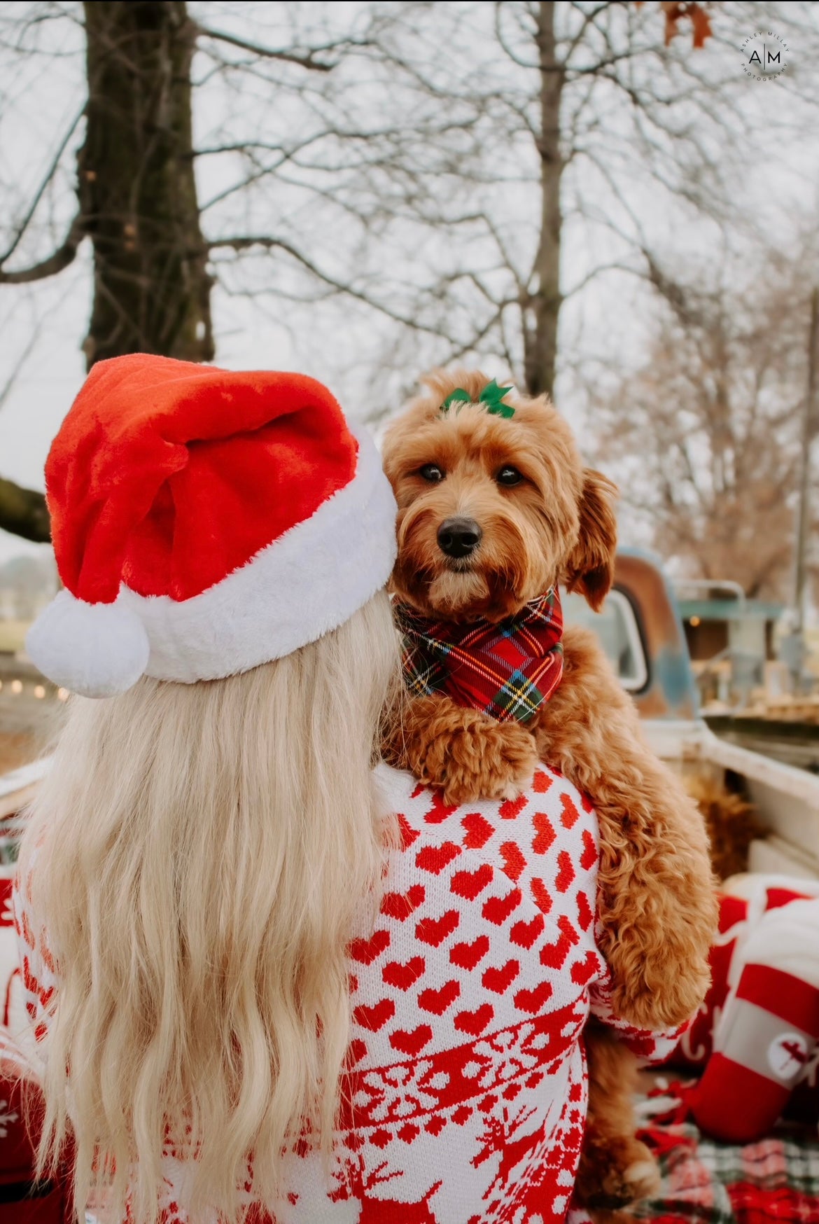 Charlie's Dog Bandanas – charliesdogbandanas