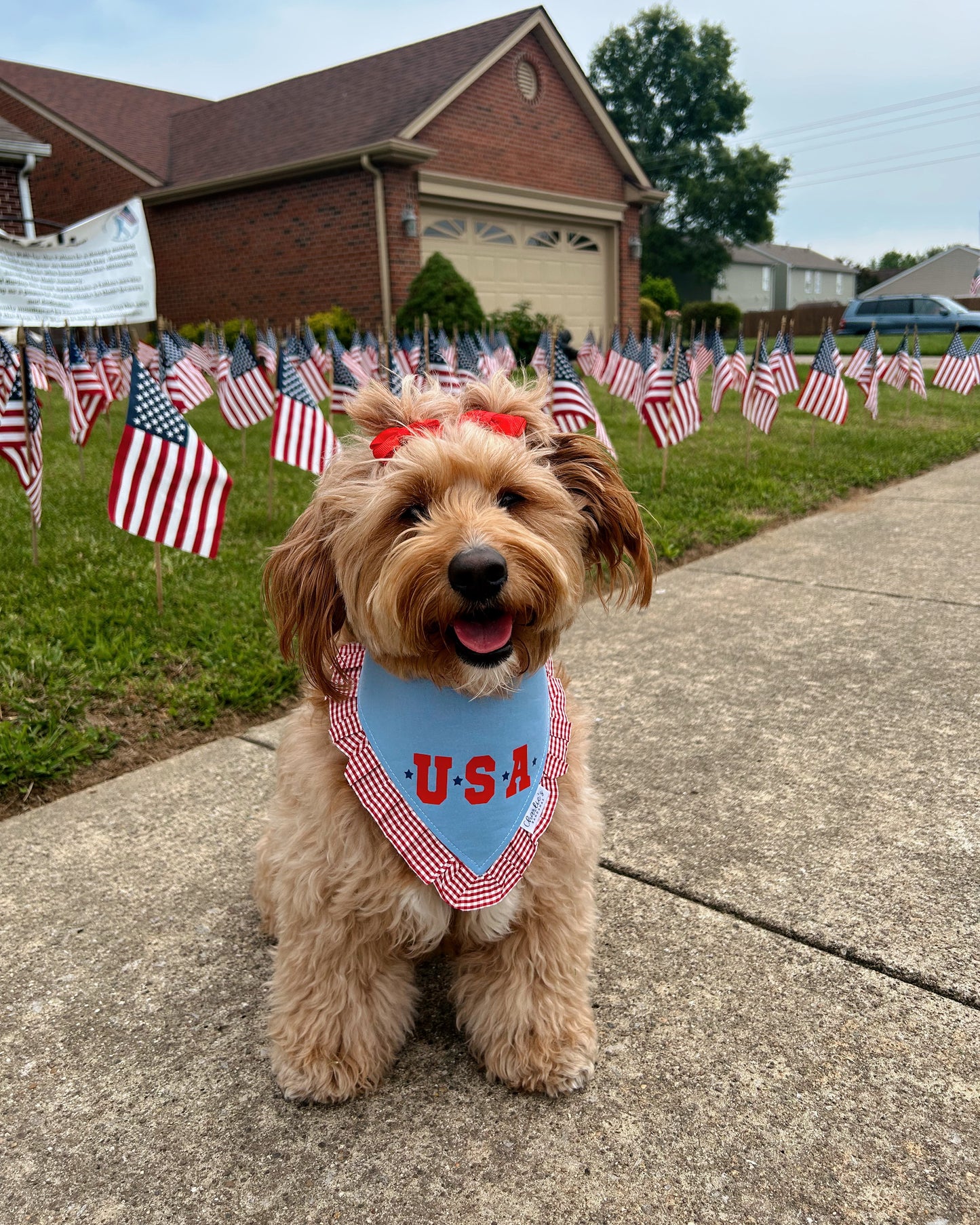 USA Blue