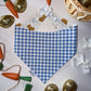 Bears & Blue Bows/ Blue Gingham