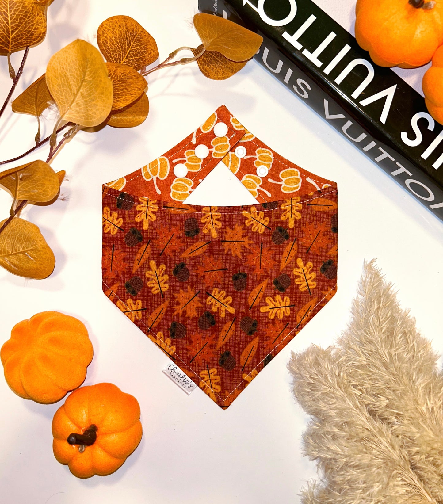 Fall Pumpkins