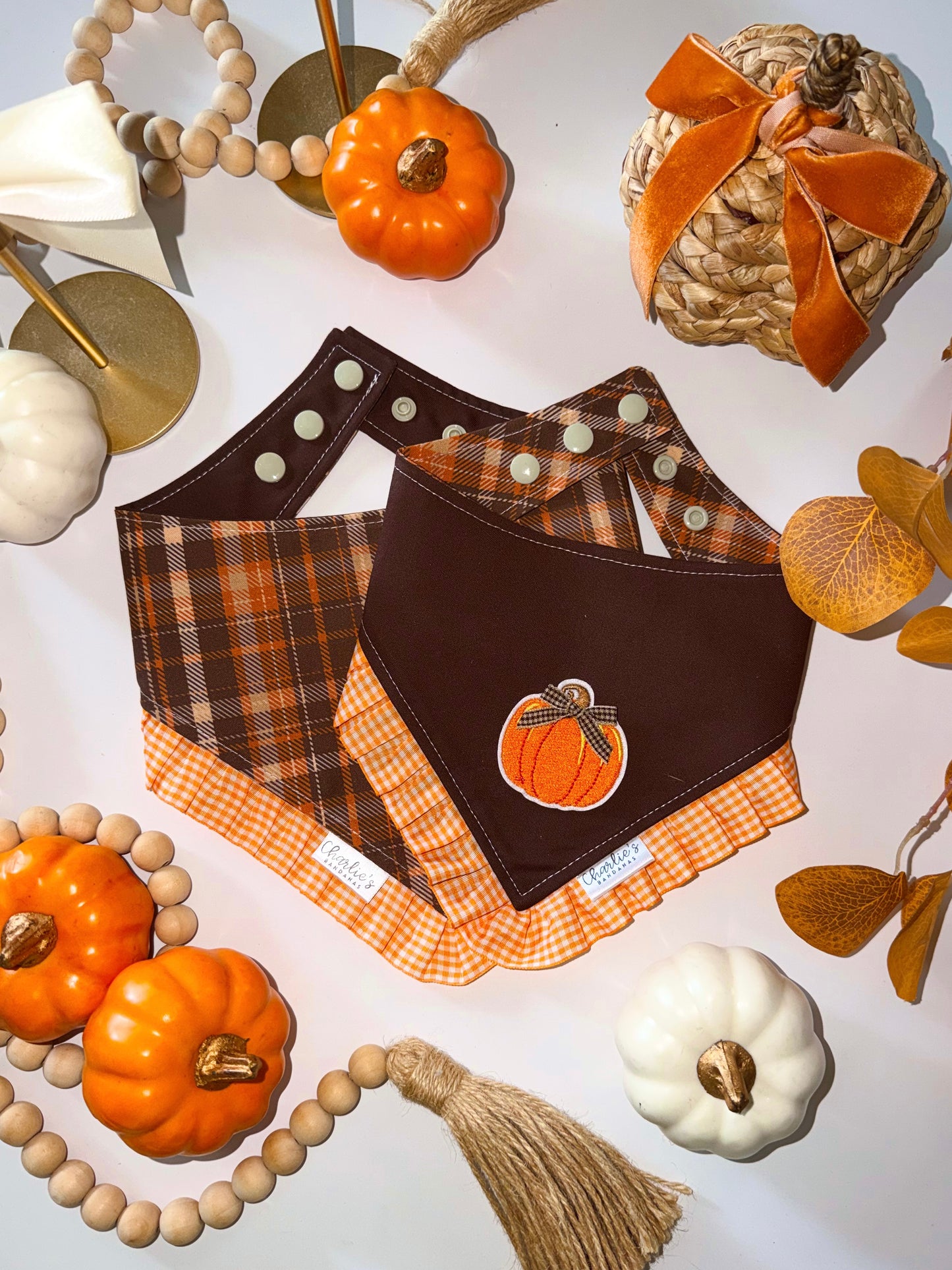 Fall Pumpkin Patch/ Brown Plaid
