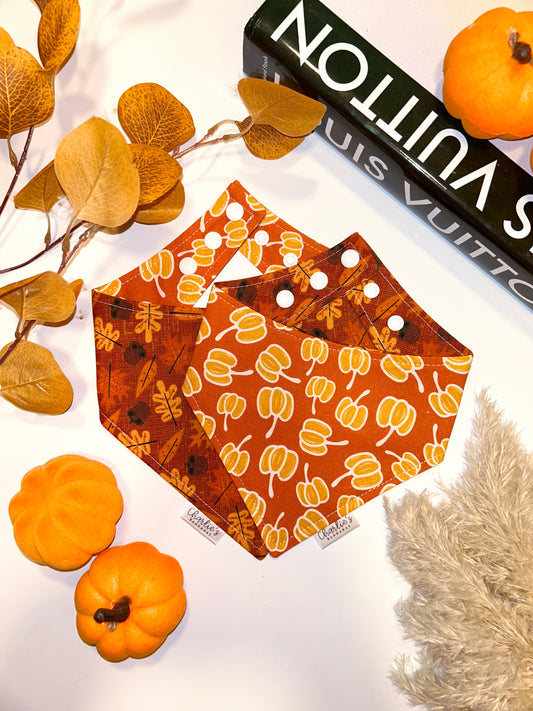 Fall Pumpkins