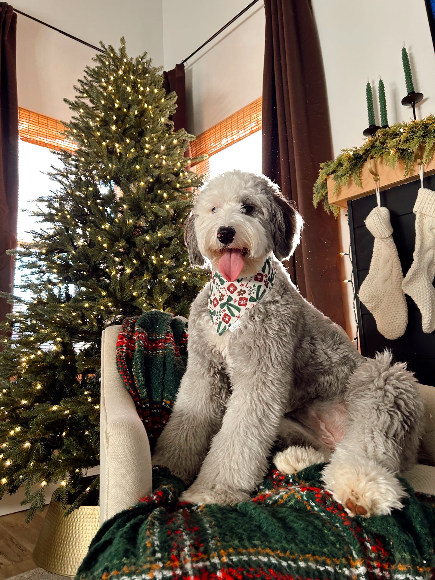 Christmas Bows/ Green Plaid