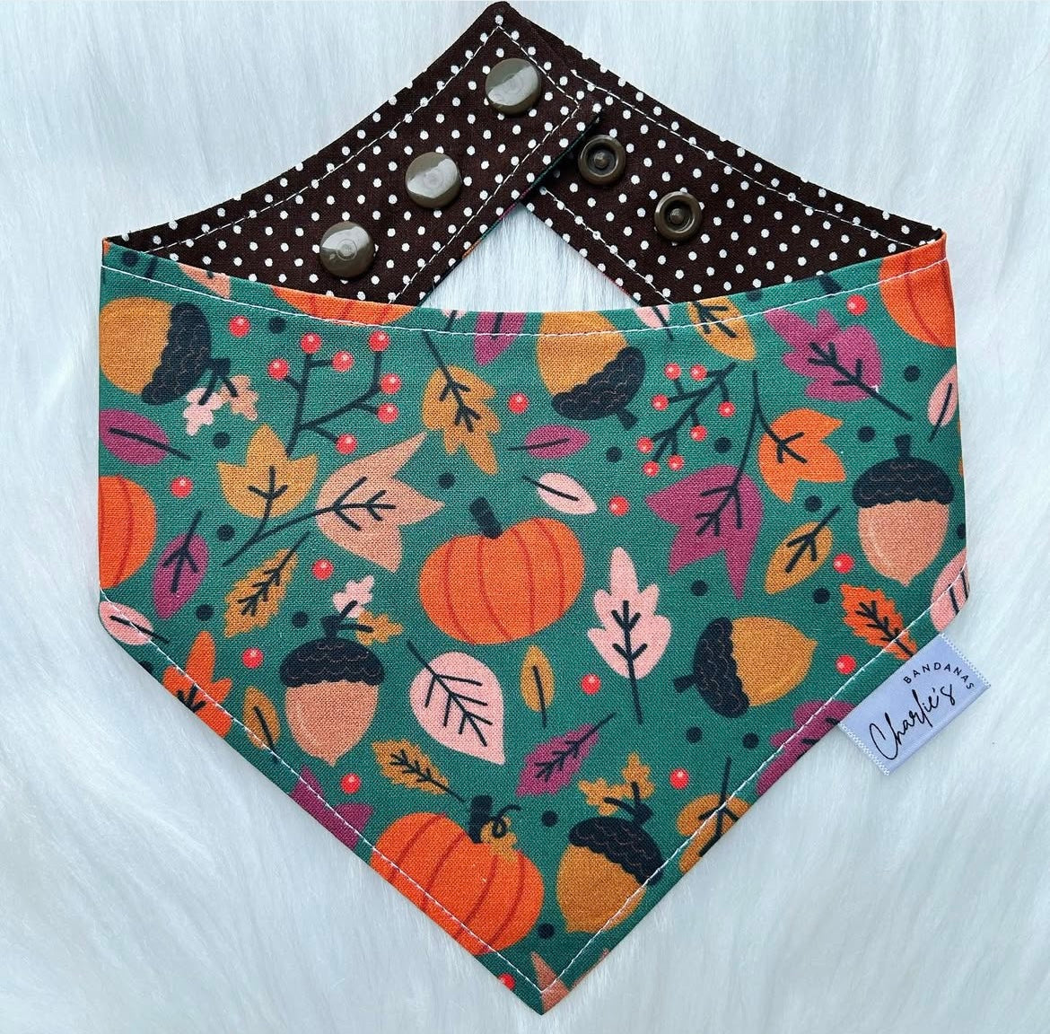 Fall Pumpkin & Leaves