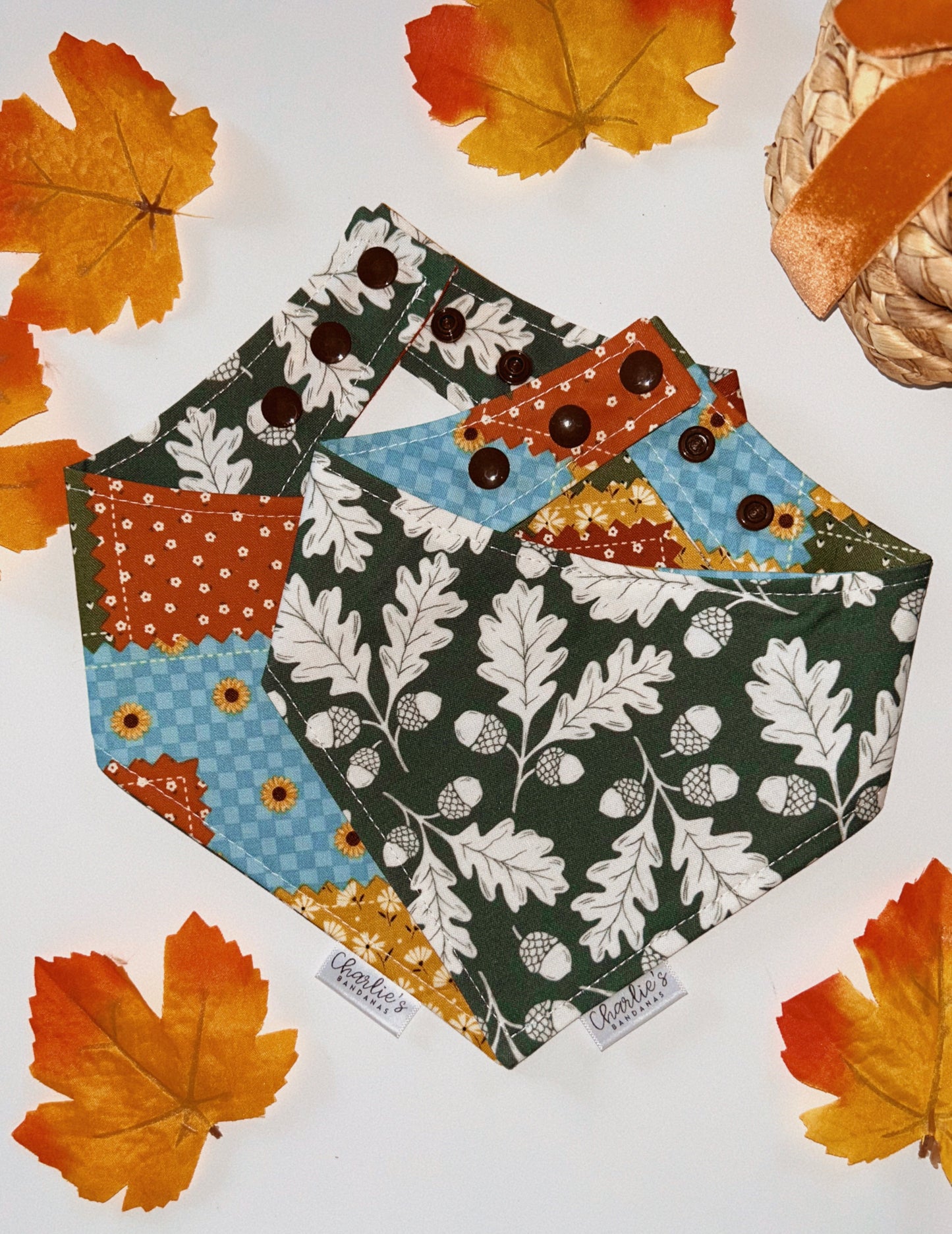 Fall Leaves & Acorns on Green