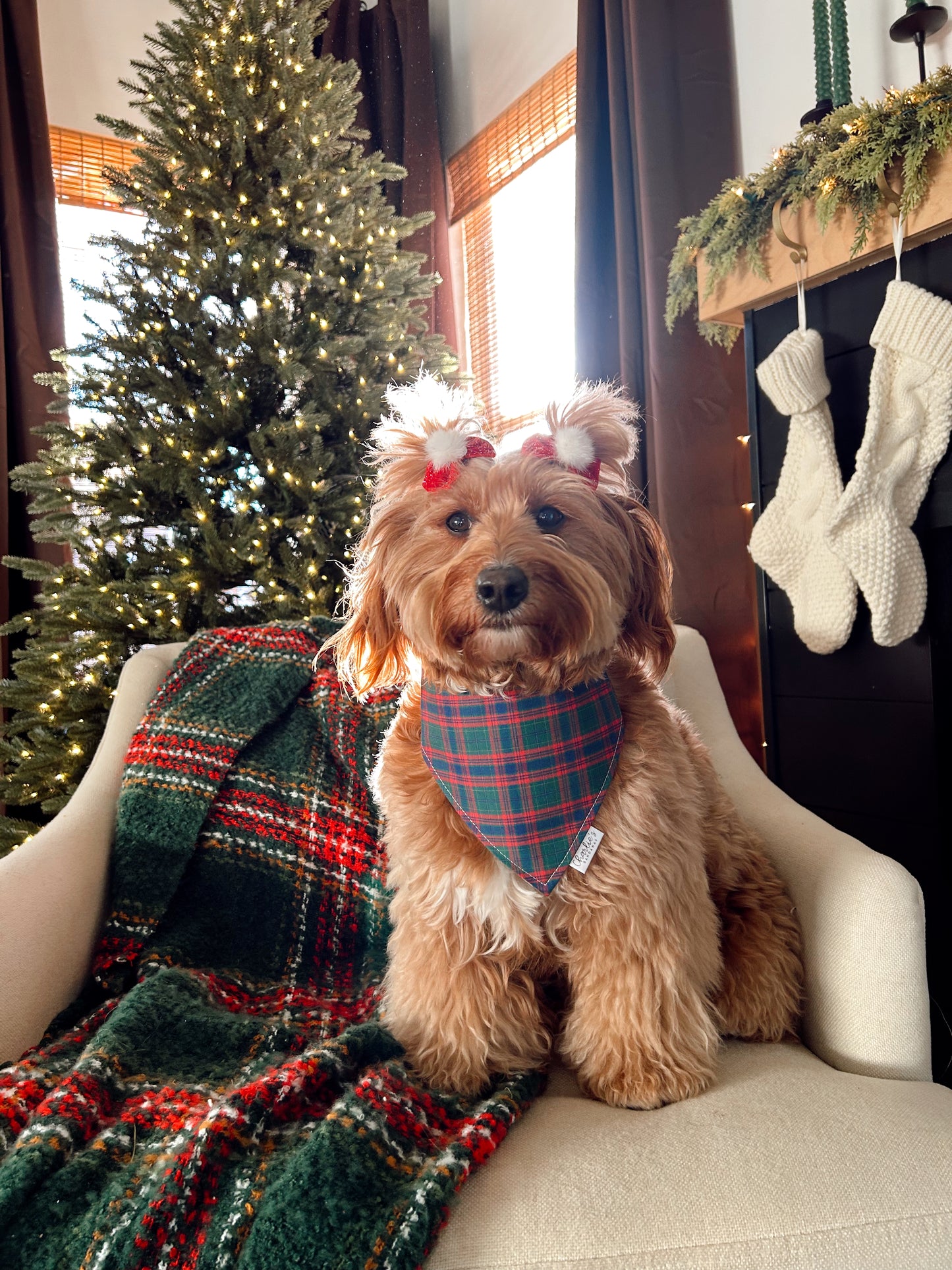 Ralph Lauren Christmas Plaid