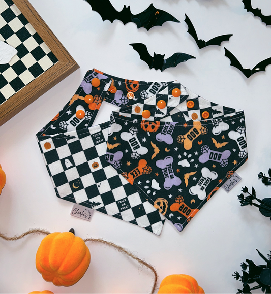 Dog Halloween Bones/ Spooky Checkerboard