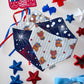 USA Bears/ Fireworks
