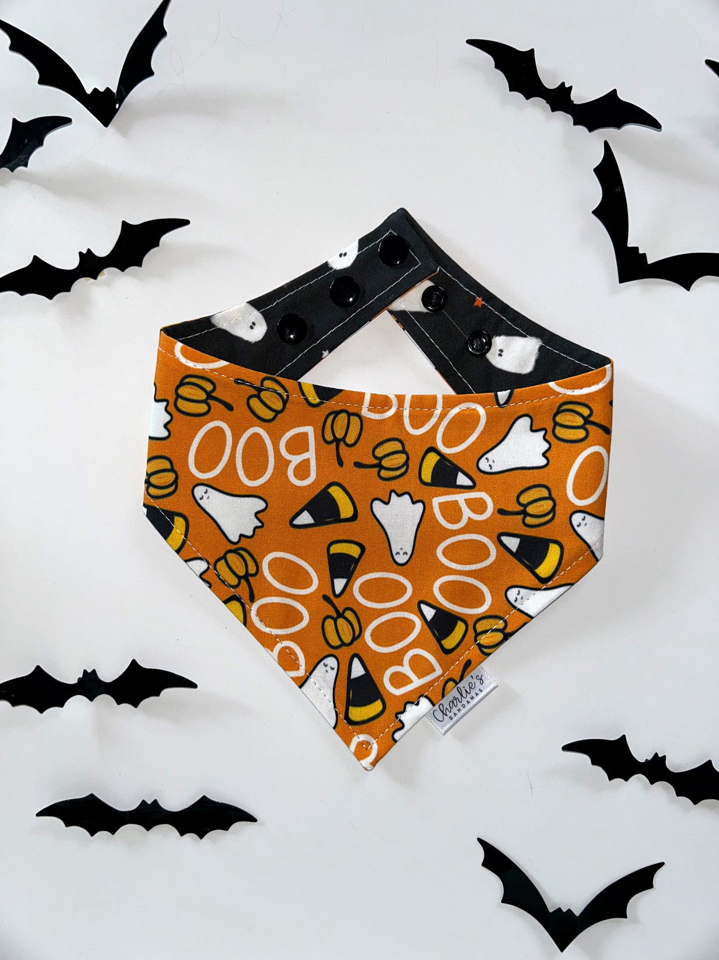 Spooky Halloween