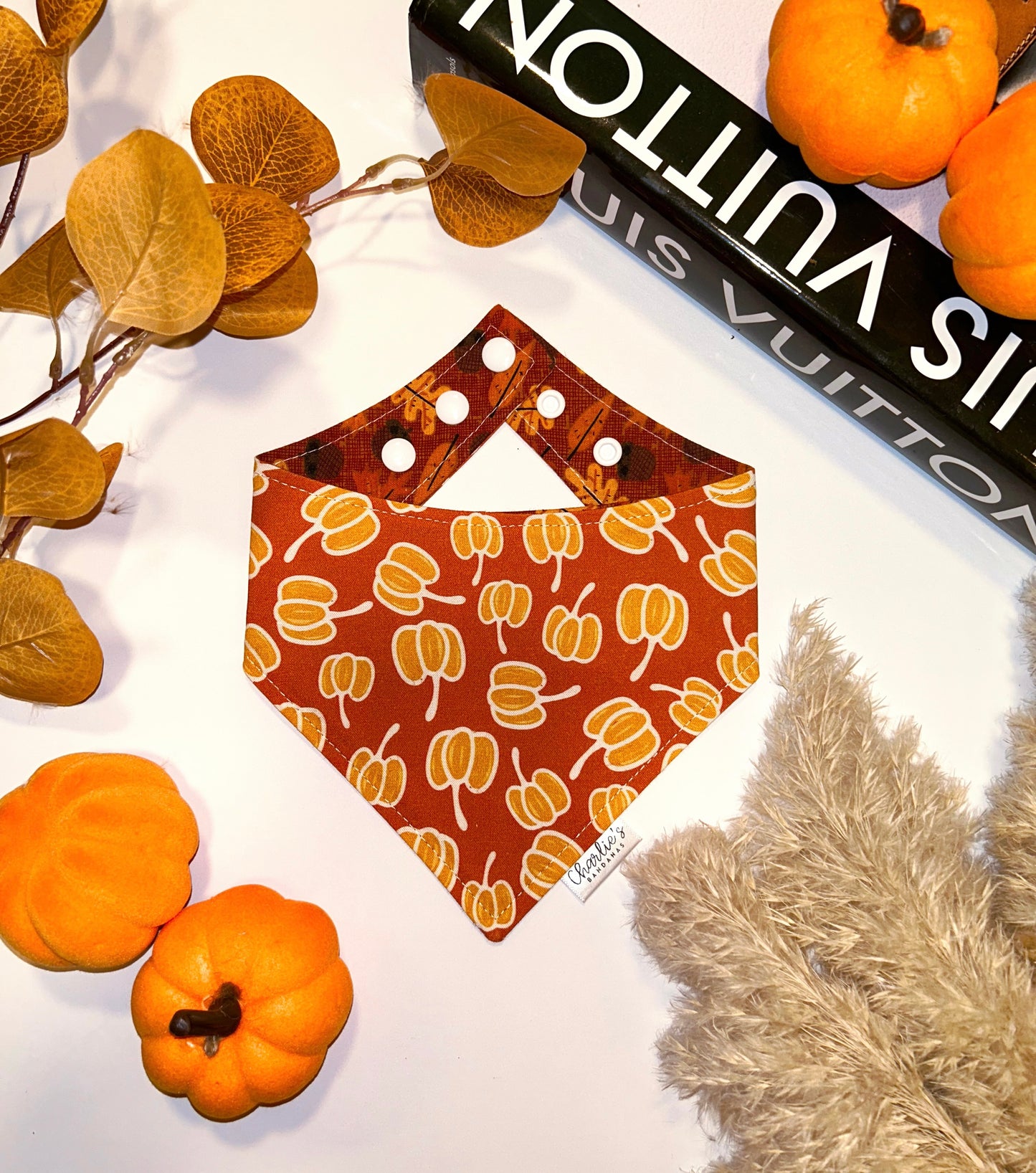 Fall Pumpkins