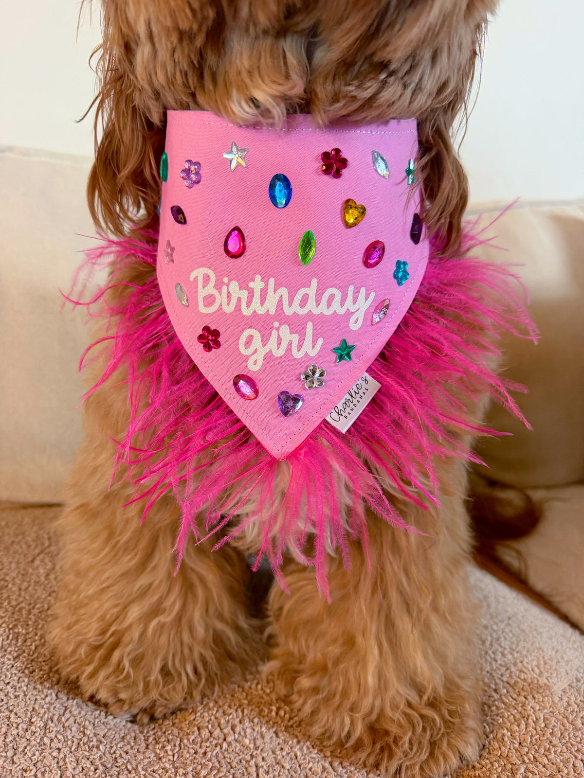 Birthday Girl Gem Bandana