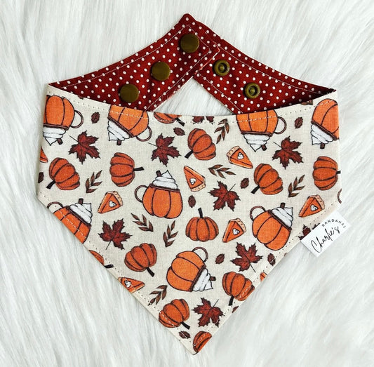 Fall Pumpkin Pie