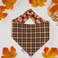 Fall Oak Leaves