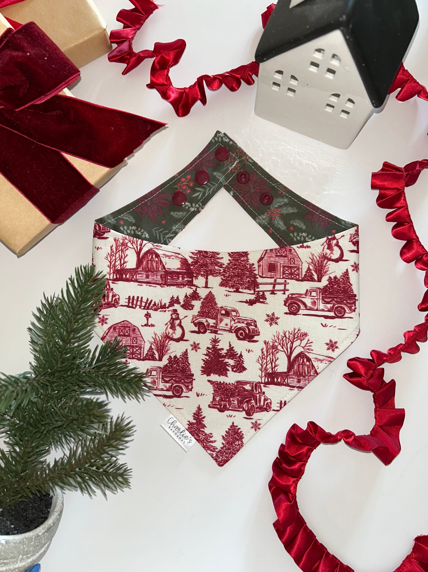 Christmas Poinsettias