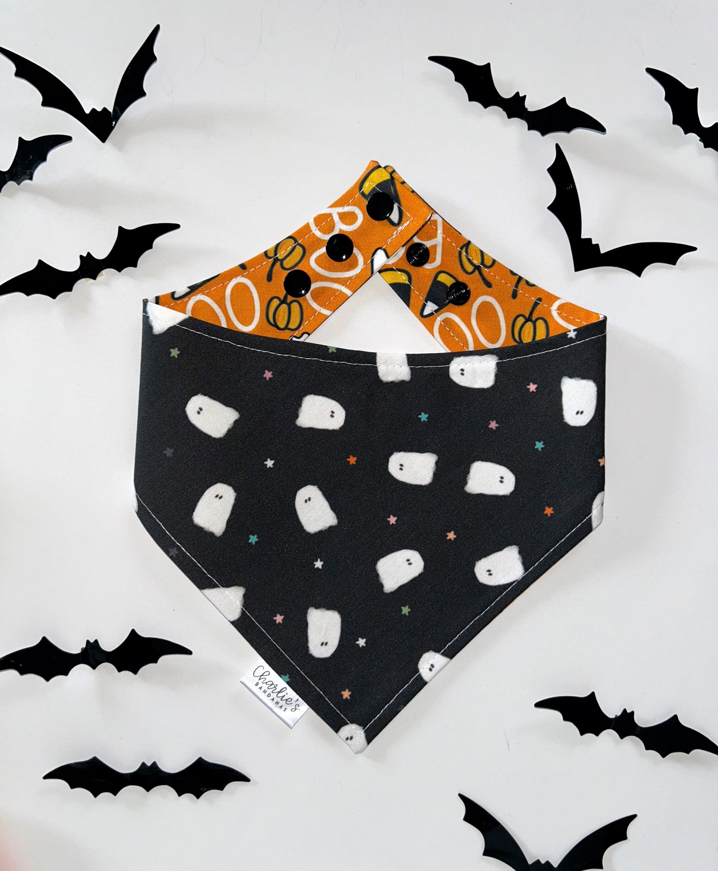 Spooky Halloween