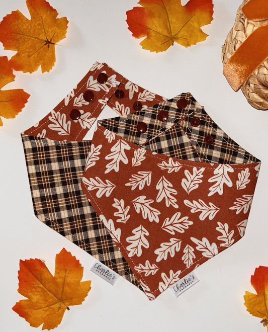 Fall Oak Leaves