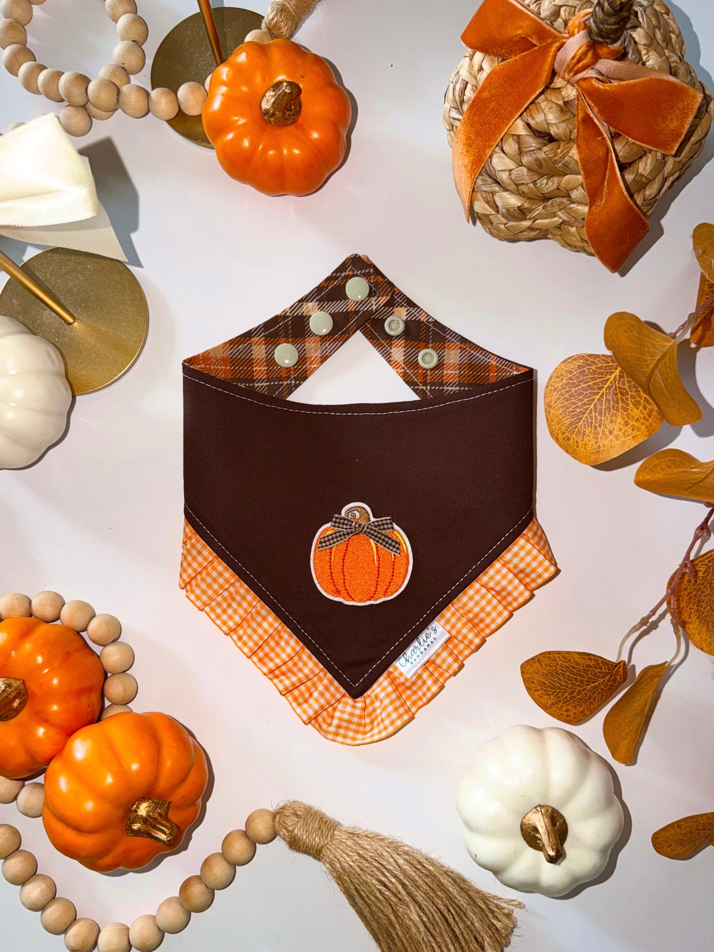 Fall Pumpkin Patch/ Brown Plaid