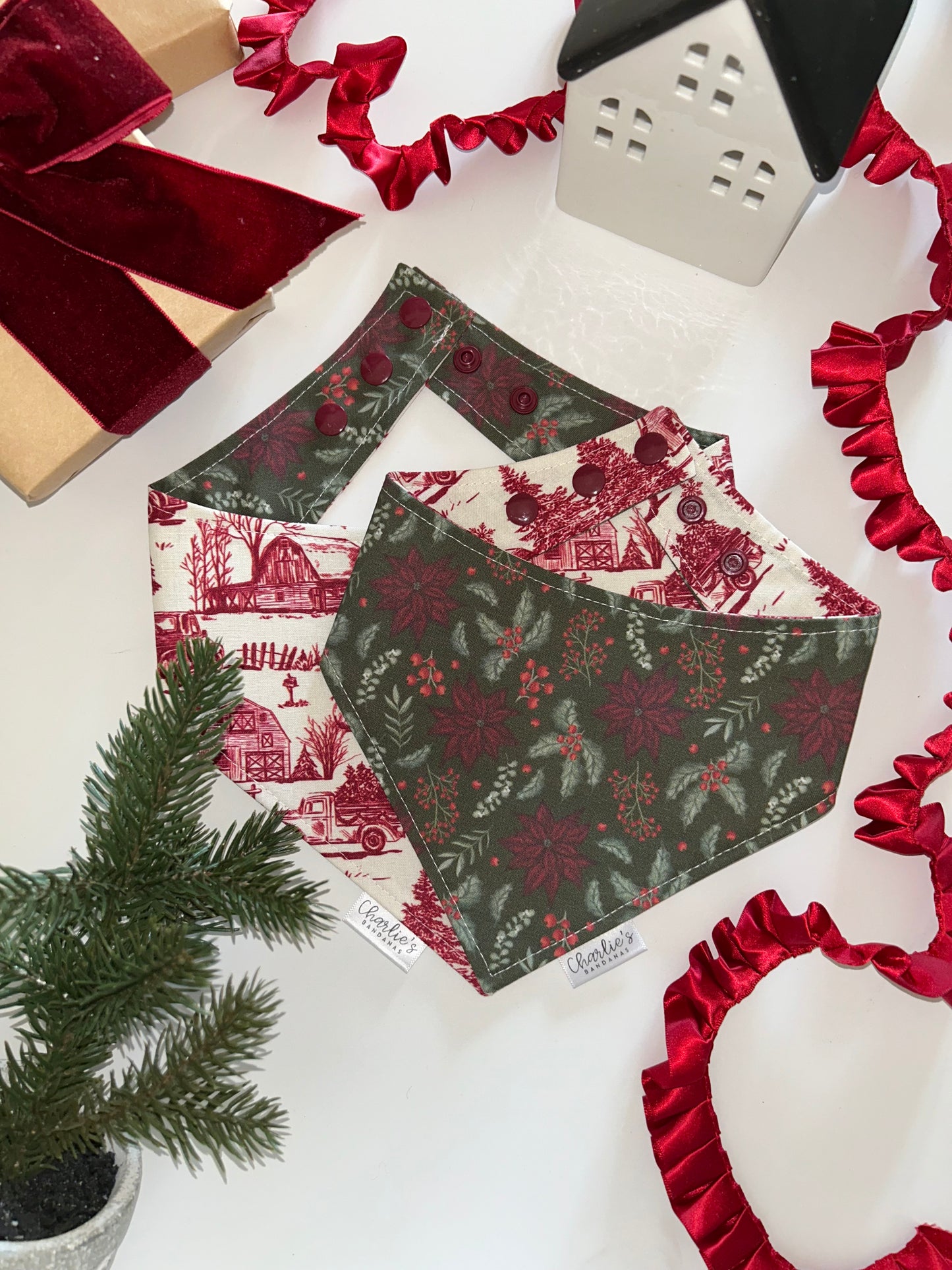 Christmas Poinsettias