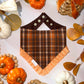 Fall Pumpkin Patch/ Brown Plaid