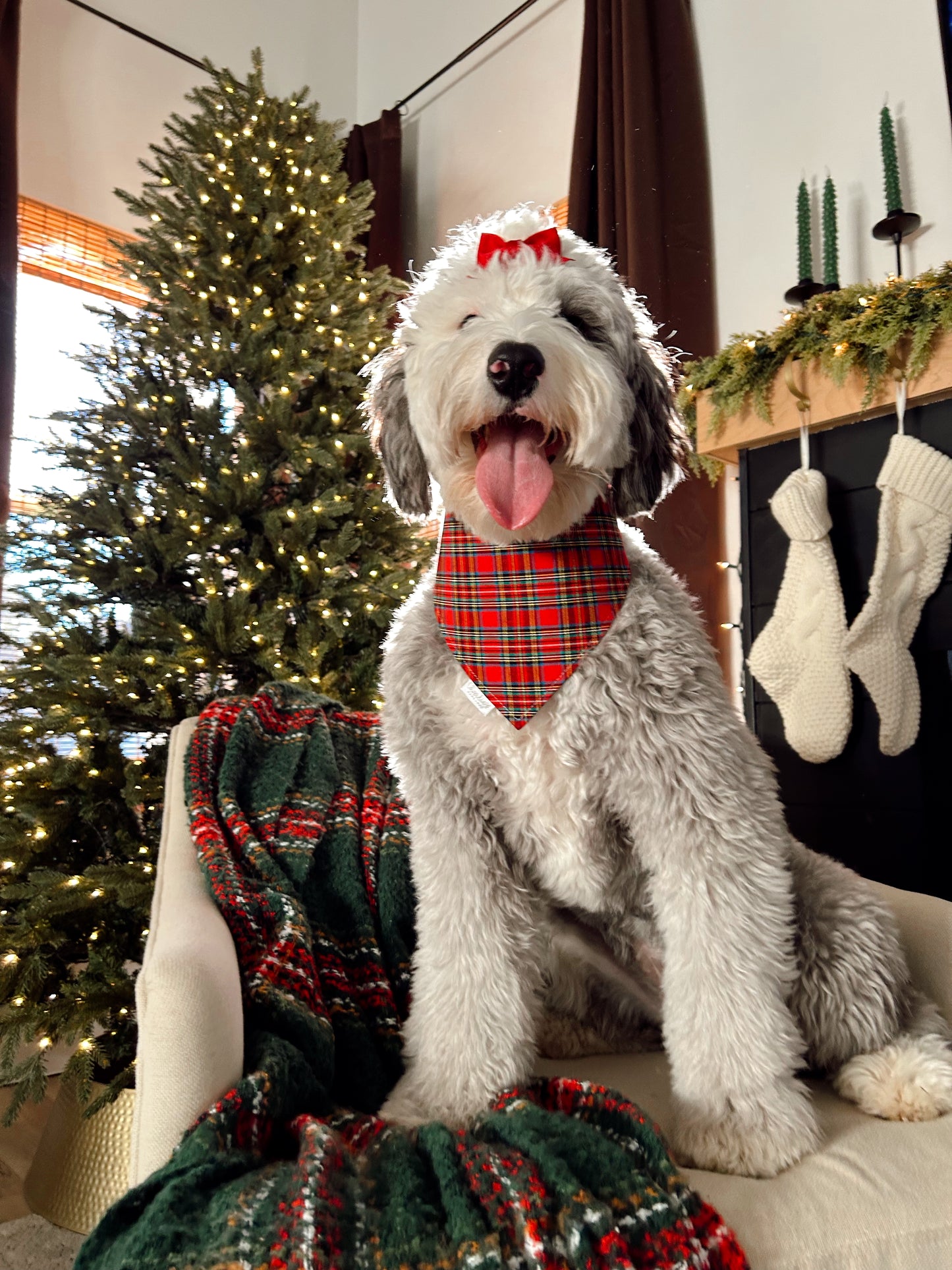 Gingerbread men on Green/ Plaid