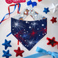 USA Bears/ Fireworks