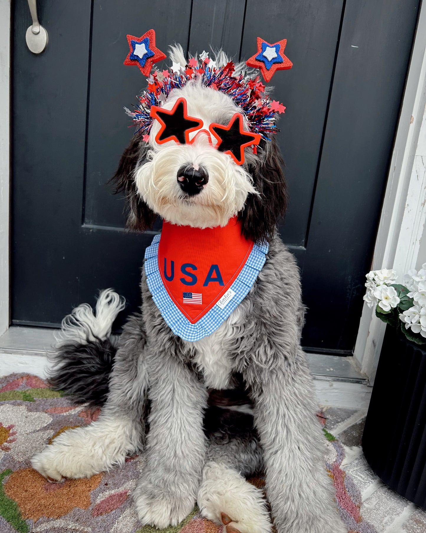 USA Flag Red
