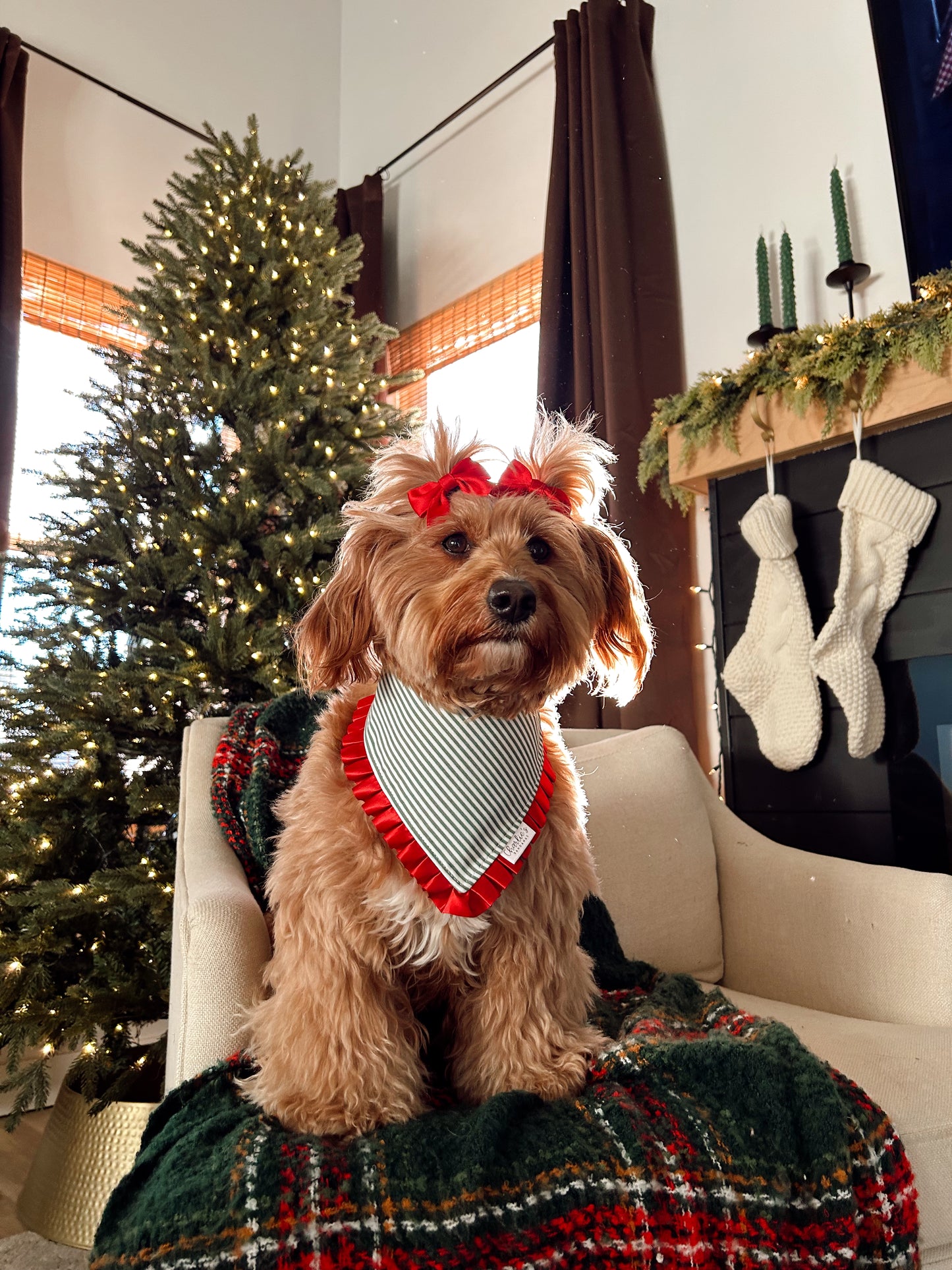 Green Stripes/ Christmas Plaid