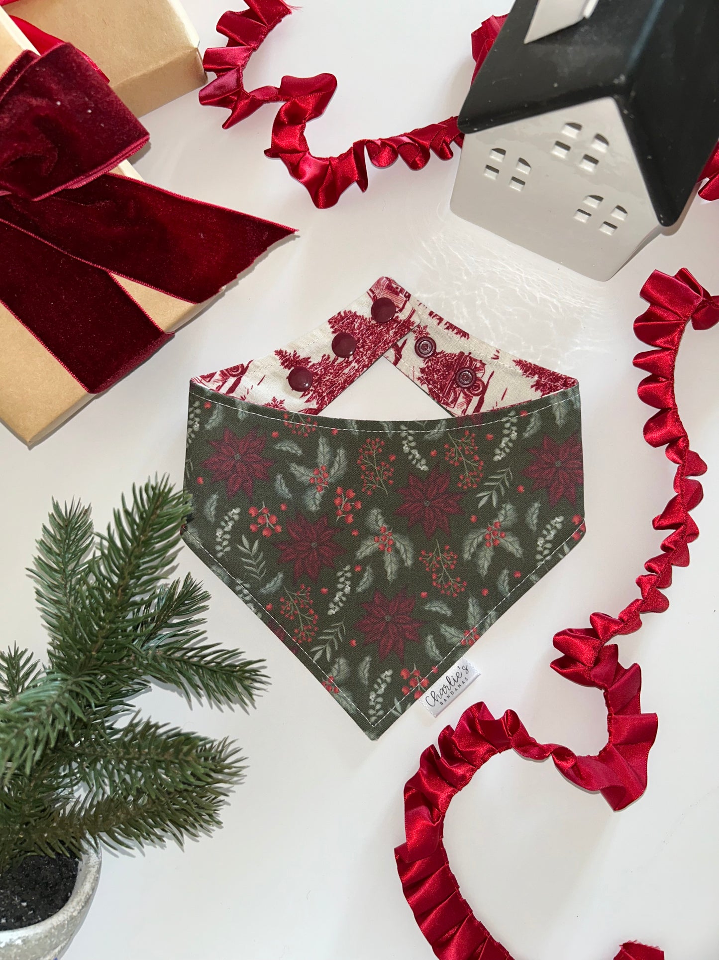 Christmas Poinsettias