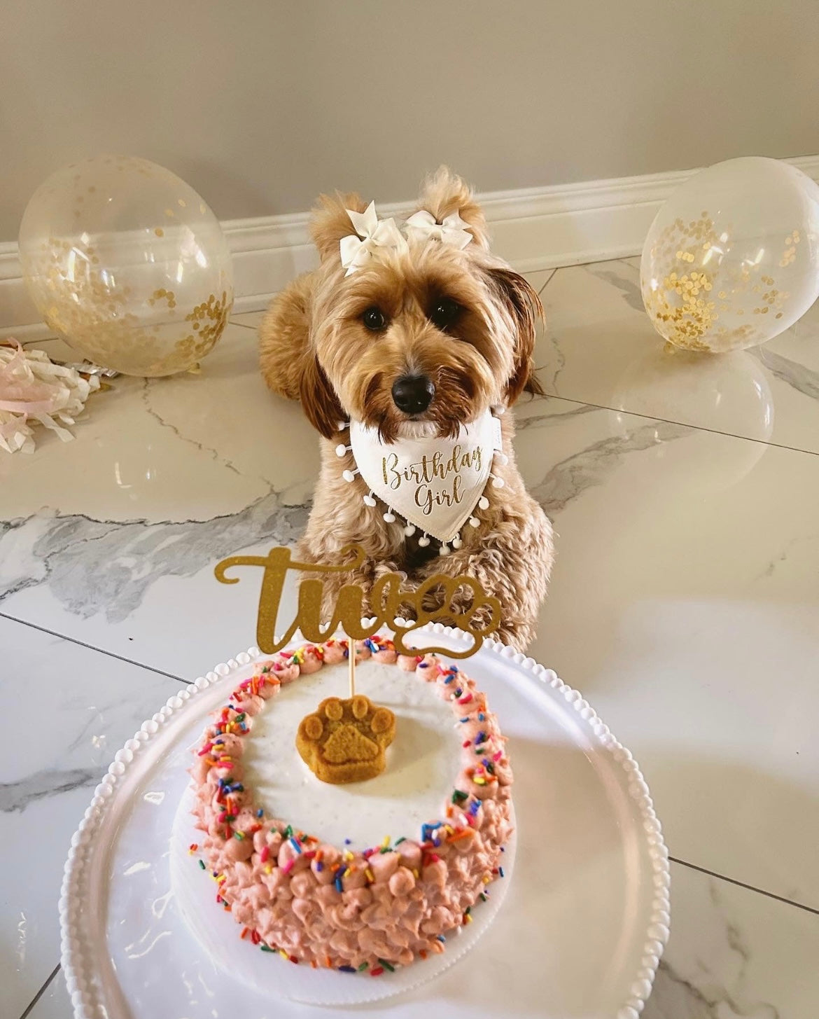 Cream Birthday Girl (Boy) Bandana