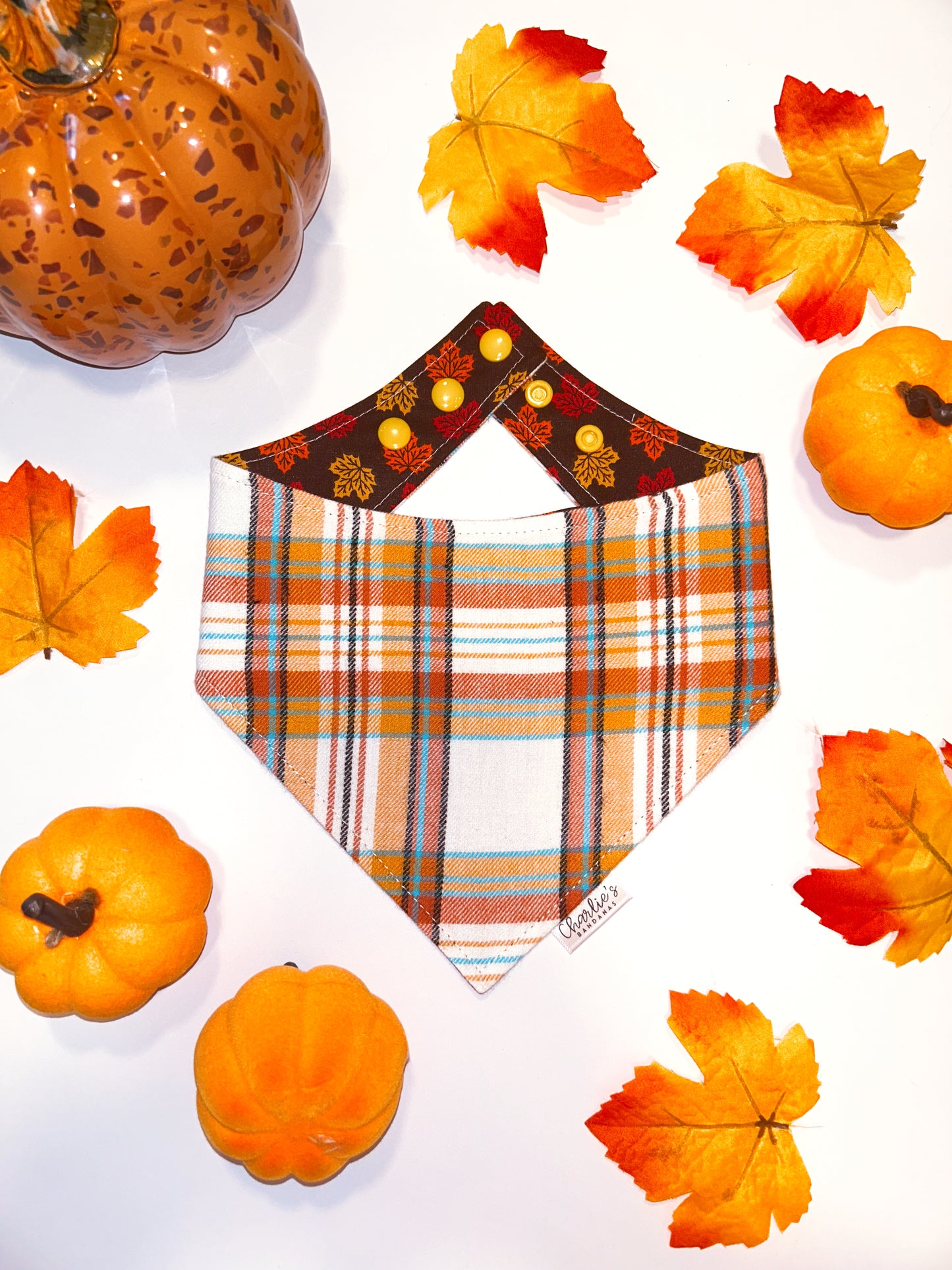 Fall Flannel