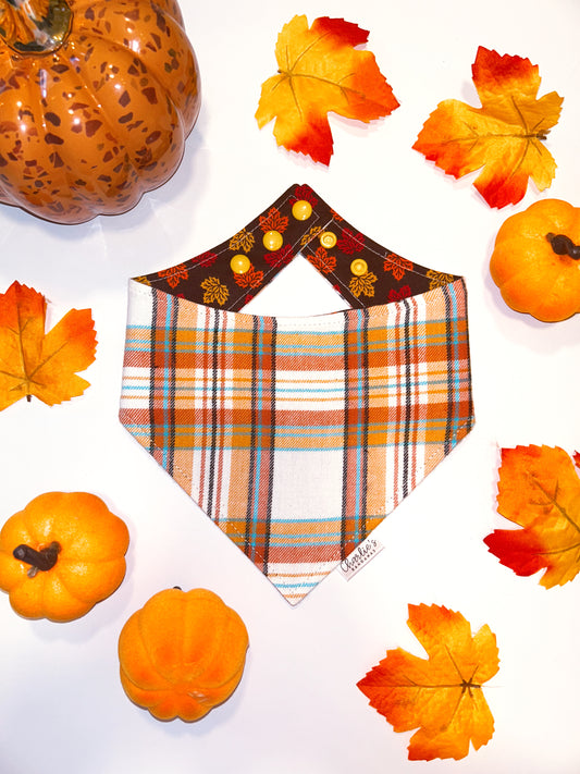 Fall Flannel