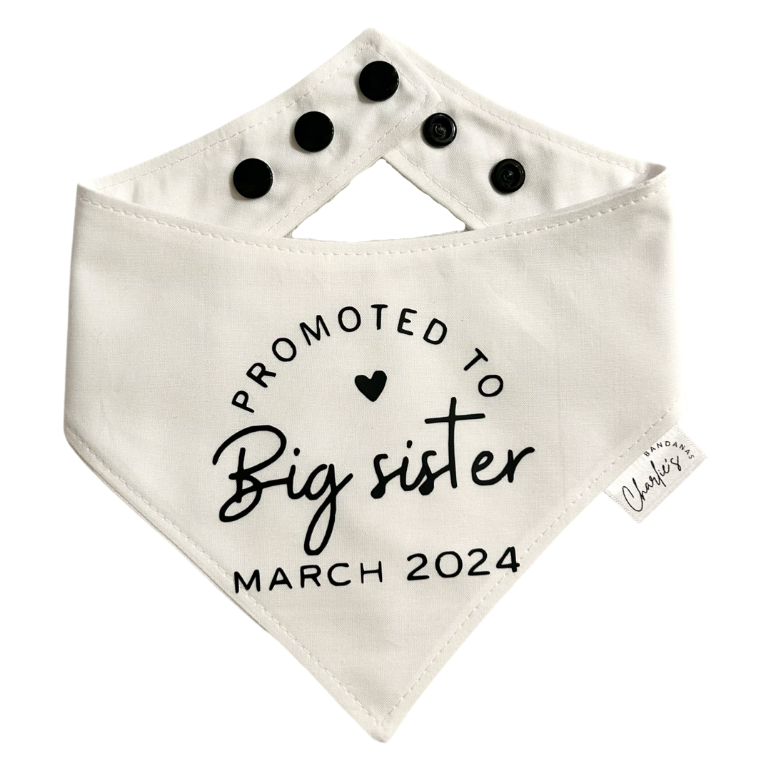 Promoted to Big Sister (Custom)