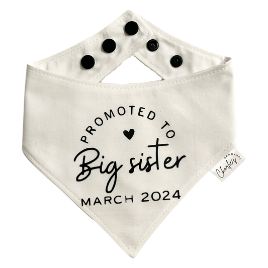Promoted to Big Sister (Custom)