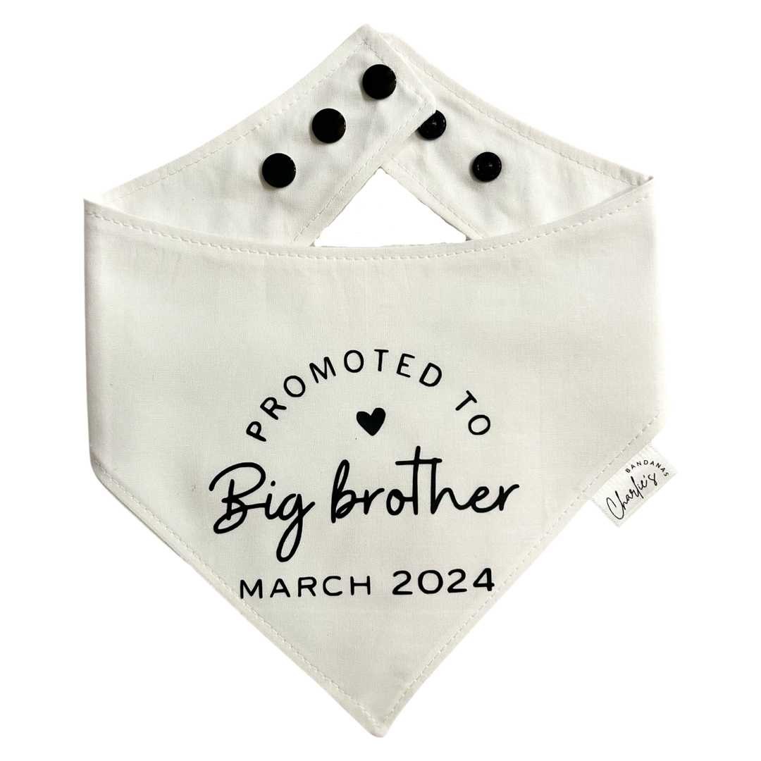 Promoted to Big Brother (Custom)